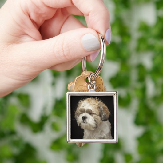 Bruin en wit sjiitisch Tzu met gesloten ogen Sleutelhanger (Hand)