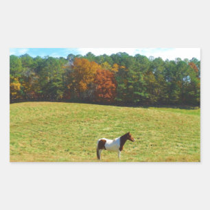 Bruin- en witpaard, herfstbomen, blauwe hemel rechthoekige sticker