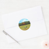 Bruin- en witpaard, herfstbomen, blauwe hemel ronde sticker (Envelop)