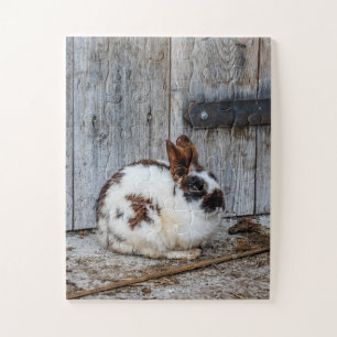 Bruin en witte bondskonijn op het Boerderij Legpuzzel