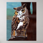 Bruin en Witte Uil Poster (Voorkant)