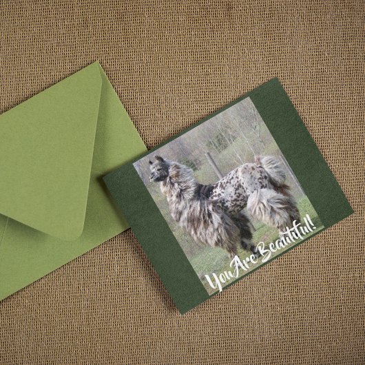 Bruin Fancy Show Llama Briefkaart