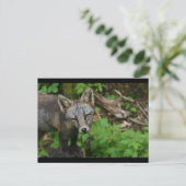 Bruin Fox Briefkaart (Staand voorkant)