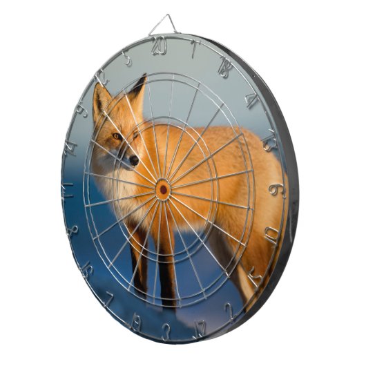 Bruin Fox Dartbord (Voorkant Rechts)