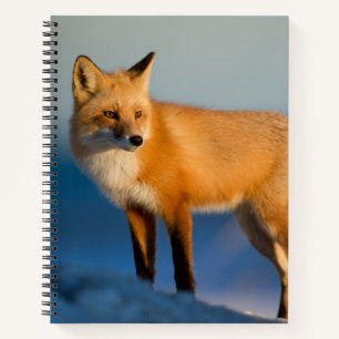 Bruin Fox Notitieboek