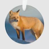 Bruin Fox Ornament (voorkant)