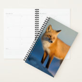 Bruin Fox Planner (Display)