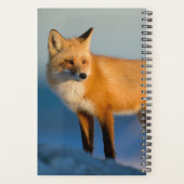 Bruin Fox Planner (Achterkant)