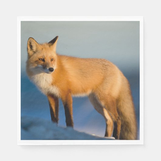 Bruin Fox Servet (Voorkant)