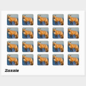 Bruin Fox Vierkante Sticker (Vel)