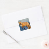 Bruin Fox Vierkante Sticker (Envelop)