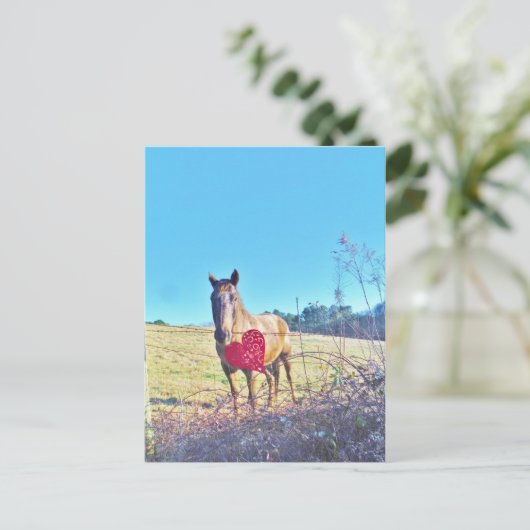 Bruin, gekleurd paard Rood hart Briefkaart (Staand voorkant)