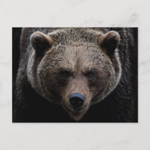 Bruin Grizzly Beer Briefkaart