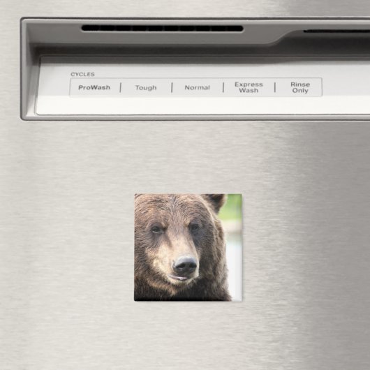 Bruin Grizzly Beer Magneet (Insitu (Vaatwasser))