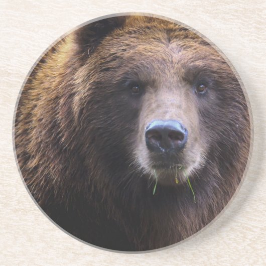 Bruin Grizzly Beer Zandsteen Onderzetter (Voorkant)