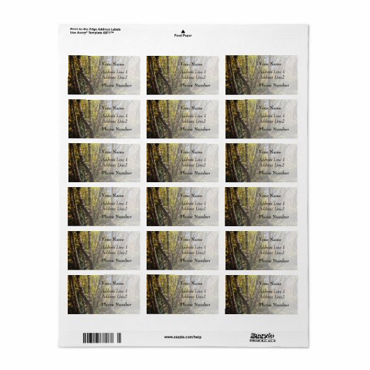 Bruin herfst bos landschap, berken bomen etiket (Full Sheet)