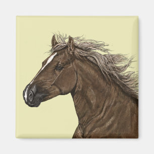 Bruin Horse Head Magnet Magneet