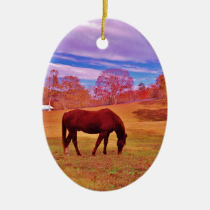 > Bruin in een droomkleurig veld Keramisch Ornament