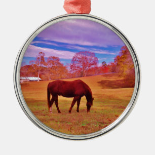 > Bruin in een droomkleurig veld Metalen Ornament