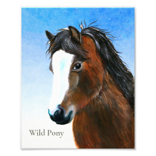 Bruin, in het wild levende Pony Waterverf schilder Foto Afdruk