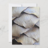 Bruin kegelvormig patroon (Voorkant)