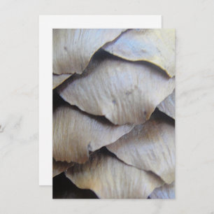 Bruin kegelvormig patroon