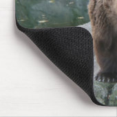 Bruin Kodiak-Beer Muismat (Hoek)