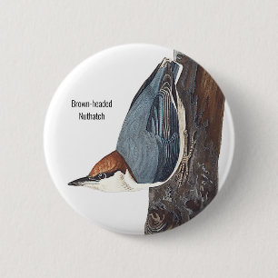 Bruin-kop Nuthatch, Audubon, Birders Bird Draag, Ronde Button 5,7 Cm