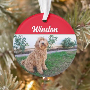 Bruin Labradoedle Dog met naam: kerstfoto Ornament