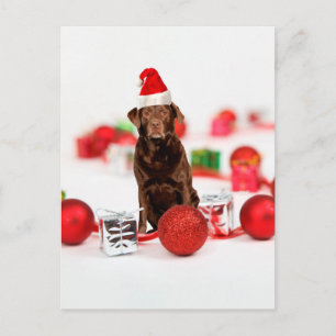 Bruin Labrador Hond Kerstmis w Gifts Santa Hat Feestdagenkaart