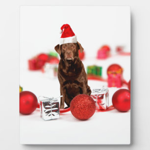 Bruin Labrador Hond Kerstmis w Gifts Santa Hat Fotoplaat