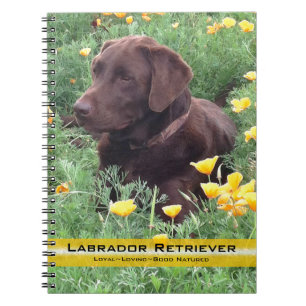 Bruin labrador reever op foto van papy patch notitieboek
