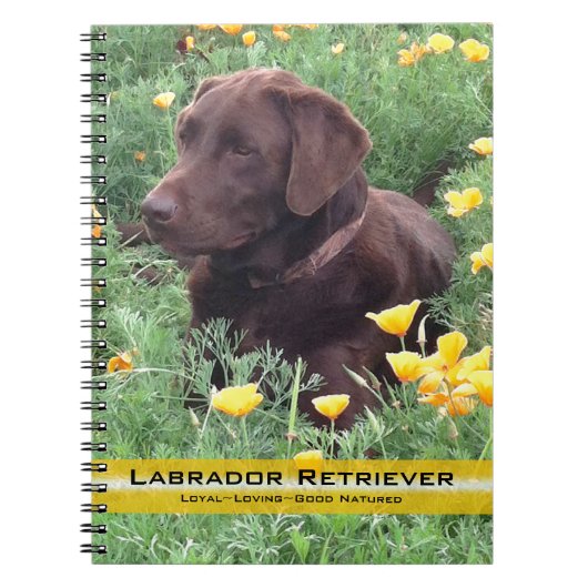 Bruin labrador reever op foto van papy patch notitieboek (Voorkant)