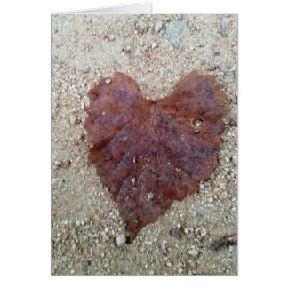 Bruin Leaf Heart