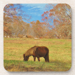 Bruin miniatuur Pony Bier Onderzetter