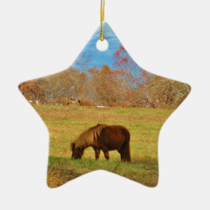 Bruin miniatuur Pony Keramisch Ornament