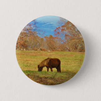 Bruin miniatuur Pony Ronde Button 5,7 Cm