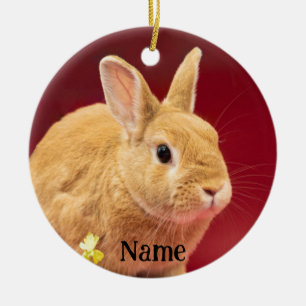 Bruin Neitherland Dwergkonijn Keramisch Ornament
