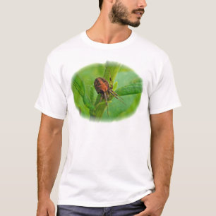 Bruin Oranje Araneus T-Shirt