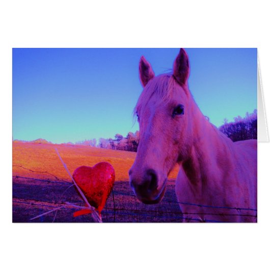 Bruin paard en rood hart (Voorkant Horizontaal)