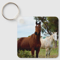 Bruin paard en witte merrie,