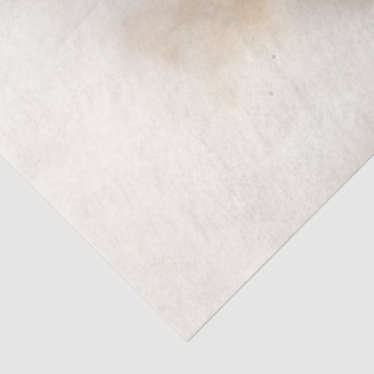 Bruin Paard Galloping Tissuepapier (Detail)