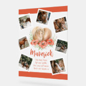 Bruin paard gedenkteken klaprozen waterverf foto acryl bord (Hoek)