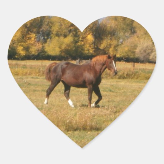 Bruin paard hart sticker (Voorkant)