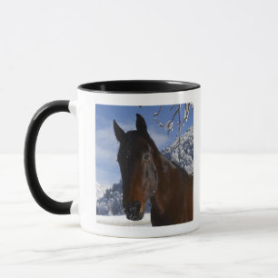 Bruin paard in de winter mok