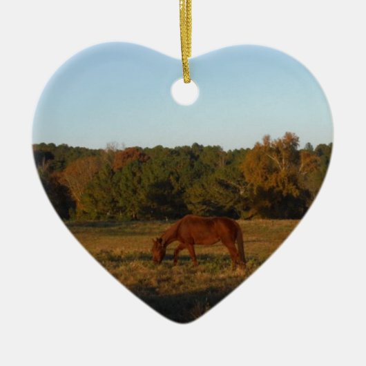 Bruin paard in de zon keramisch ornament (Voorkant)