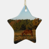 Bruin paard in de zon keramisch ornament (Rechts)