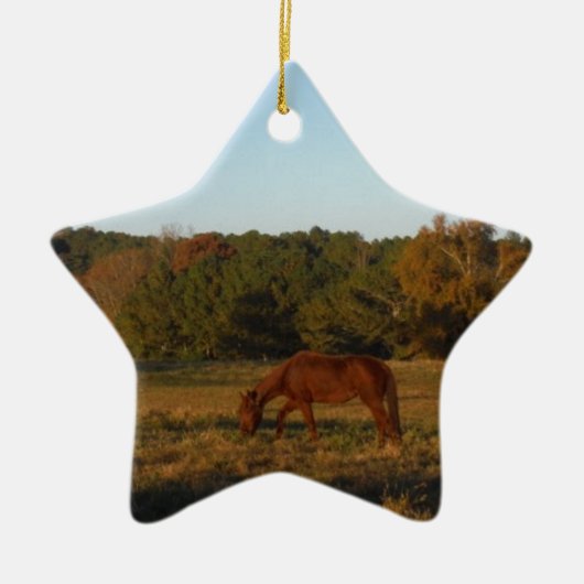 Bruin paard in de zon keramisch ornament (Voorkant)