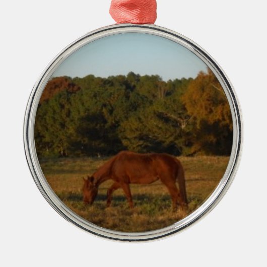 Bruin paard in de zon metalen ornament (Voorkant)
