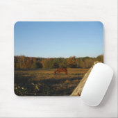 Bruin paard in de zon muismat (Met muis)